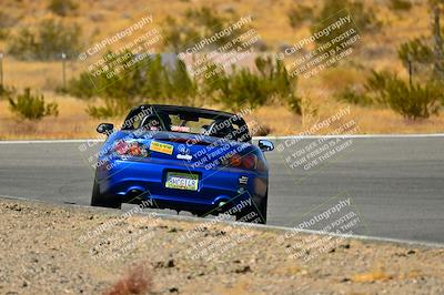 media/Oct-05-2024-Extreme Speed (Sat) [[dcd4a721fe]]/High Inter/Session 3 (Bowl)/